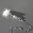 „Fluffy Crystal Snow Flake“ Bergkristall Muschelkern Fell Kette