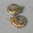 „Fossil Shell“ Ammonit Silber Ohrringe VERKAUFT