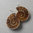 „Fossil Shell“ Ammonit Silber Ohrringe VERKAUFT